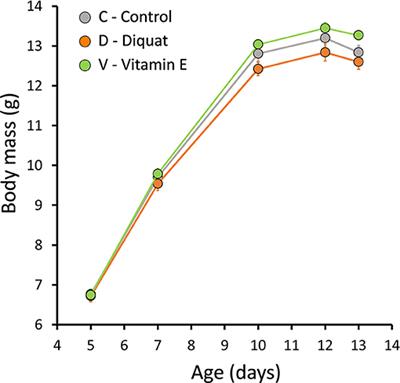 Vitamin E Supplementation—But Not Induced Oxidative Stress—Influences Telomere Dynamics During Early Development in Wild Passerines